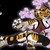 :iconprincesstigress: