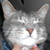 :iconprincessyiyo: