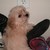 :iconprinsesses-kiara-koz: