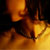 :iconprintseed: