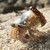 Priority-Mail :iconpriority-mail: