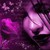 :iconprism-darling: