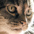 :iconprismaviolet: