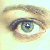 :iconPrismfire: