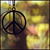 :iconprivater:
