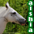 :iconpriya-aishia: