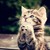 :iconpriyajewan: