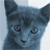 :iconpro7o-7ype: