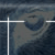 :iconprocellislupus: