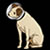 :iconprocyonanimations: