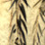 :iconprodoxius: