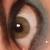 :iconprofessor-dazzle: