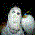 :iconprofitkidd:
