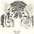 :iconproflow: