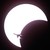 :iconprogbruford: