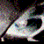 :iconprogram: