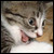 :iconprogressincolor: