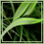 :iconproject-green-leaf: