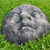 :iconproject-mfw: