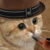 :iconprojectkai: