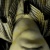 :iconprojectorscreen: