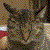 :iconpromethean-props:
