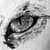 :iconpromises-of-air: