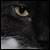 :iconpromisevideo: