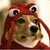 :iconpronooblet69: