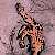 :iconpropmonkey: