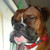 :iconproripp: