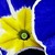 :iconprosefarrell: