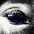 :iconprosiac: