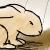 :iconProtectTheRain: