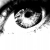:iconproudlyrare:
