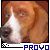 Provolvere :iconprovolvere: