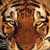 :iconprowl71: