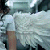 :iconproxy-angel: