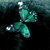 :iconprunus-capulim: