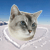 :iconpryorchris: