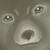 :iconpsalm119: