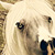 :iconPSauburnchick12: