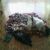 :iconpseudo-quintessence: