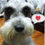 :iconpseudoartiste: