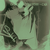 :iconpseudovector: