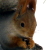 :iconpsi-hin: