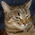 :iconpsinka-prezes: