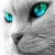 :iconpsipsinelll: