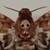 :iconPsiqueCetai: