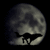 :iconpsitack: